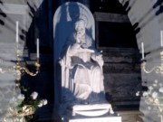 Sankta Pio la 10-a, papo